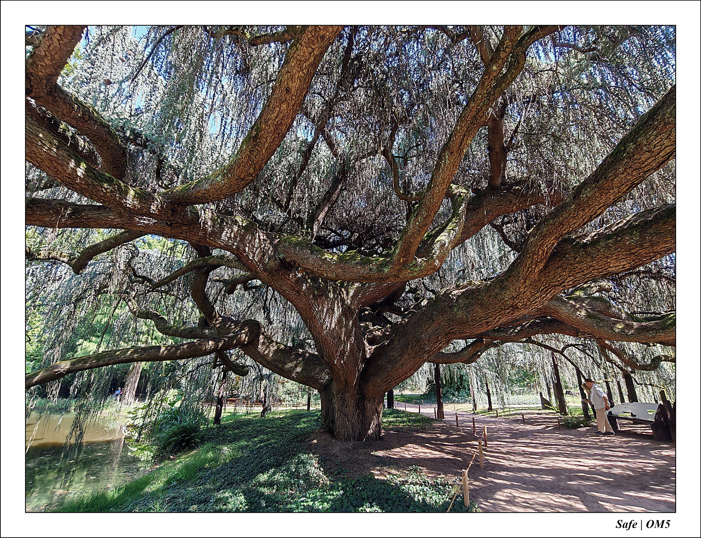 2025 - 08 - Vallée des loups - 26